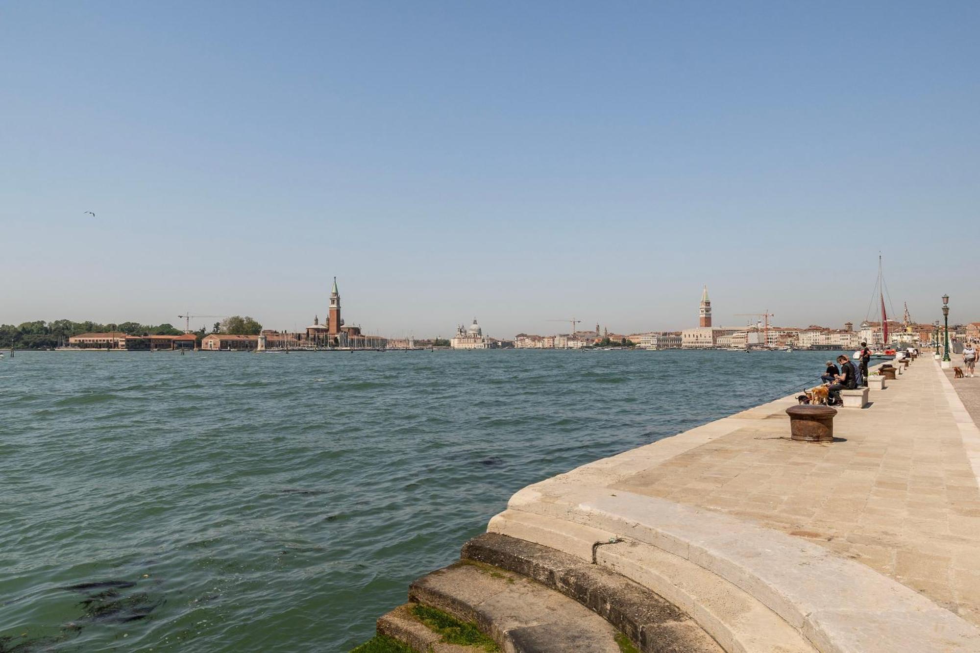 Ca'lina Near Biennale * Venice